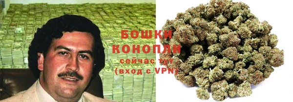 шишки Нефтегорск