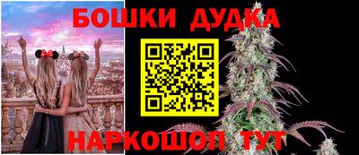 спиды Кинель
