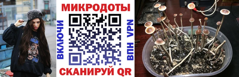 МЕГА сайт  Ливны  Псилоцибиновые грибы GOLDEN TEACHER 