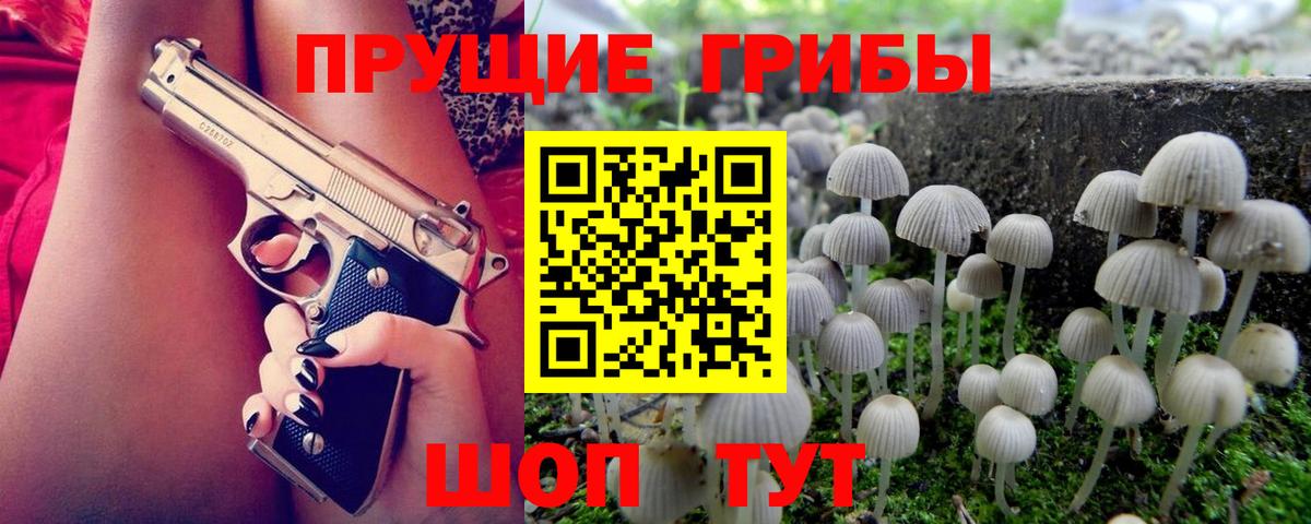 Ливны  Псилоцибиновые грибы MAGIC MUSHROOMS  Вход с VPN 