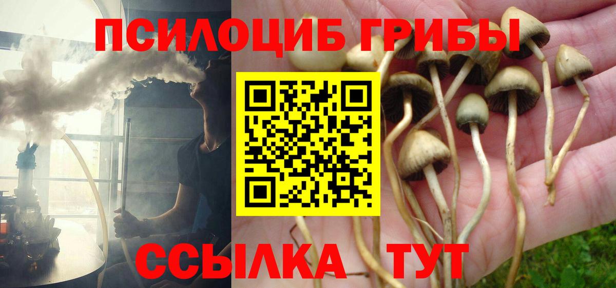 Бошки Шишки Ливны